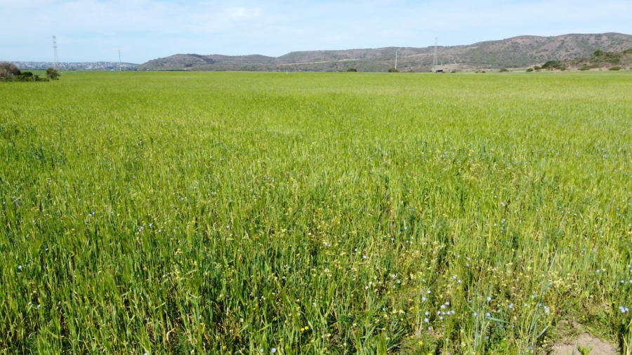 Commercial Property for Sale in Mossel Bay Rural Western Cape